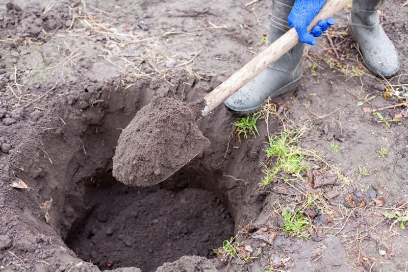 Advantages of Early Booking